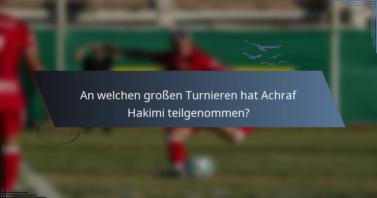 An welchen großen Turnieren hat Achraf Hakimi teilgenommen?