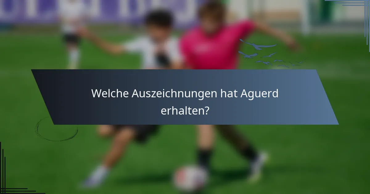 Welche Auszeichnungen hat Aguerd erhalten?