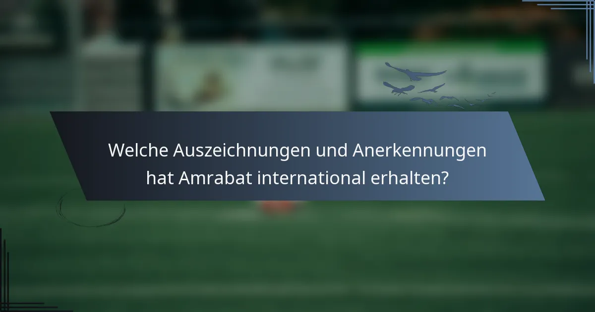 Welche Auszeichnungen und Anerkennungen hat Amrabat international erhalten?